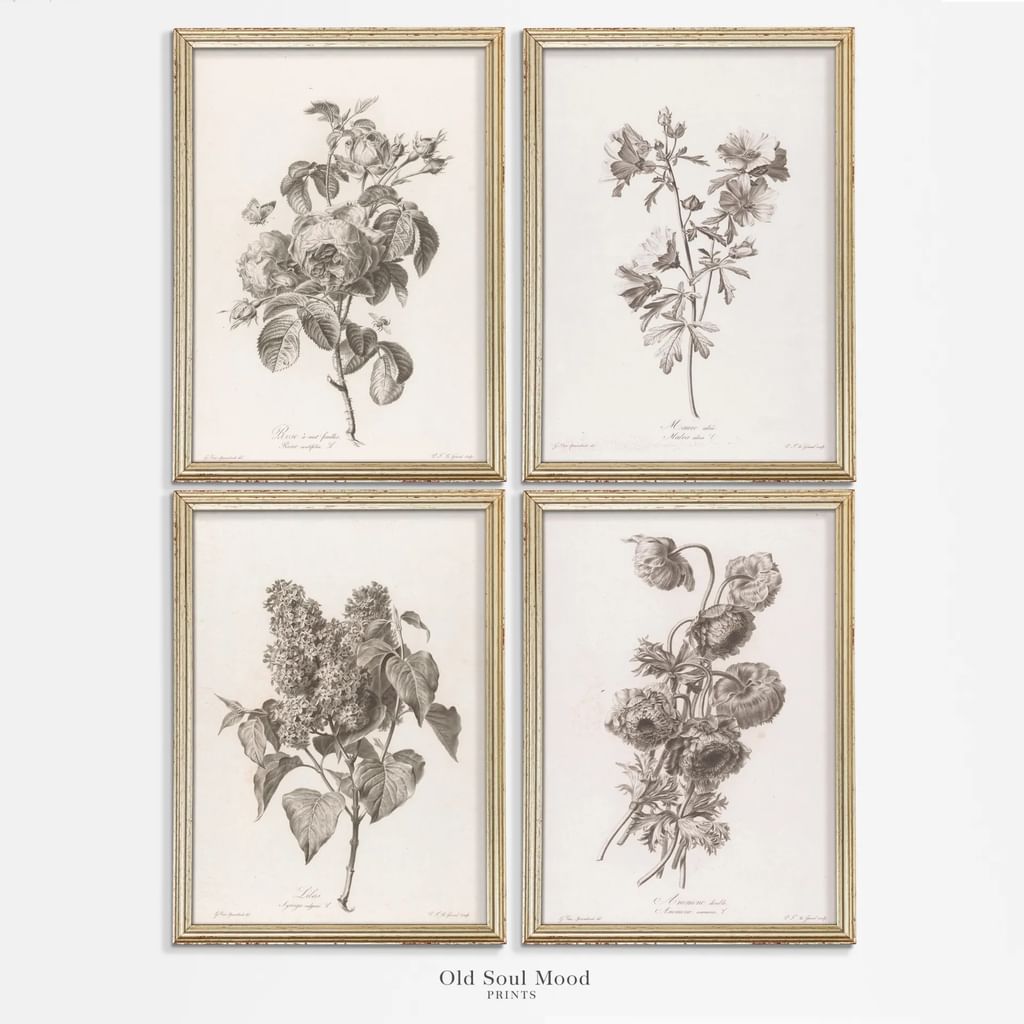 4 grafiki botaniczne