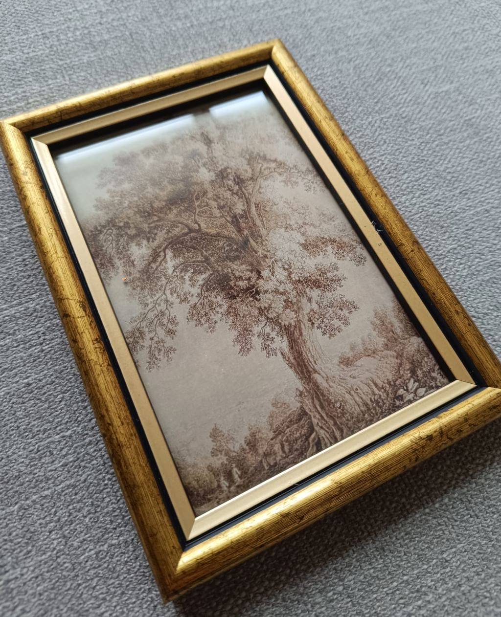 Plakat Szkic drzewa w ramce