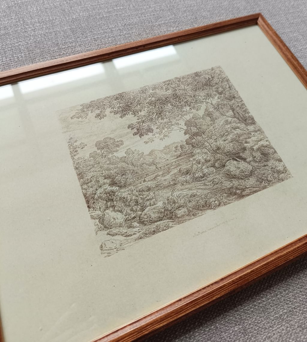 Plakat Szkic drzew w ramce