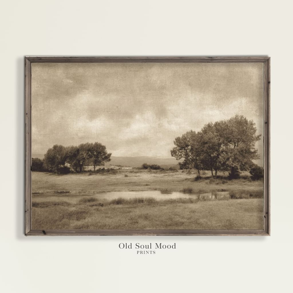 Delikatny krajobraz 2