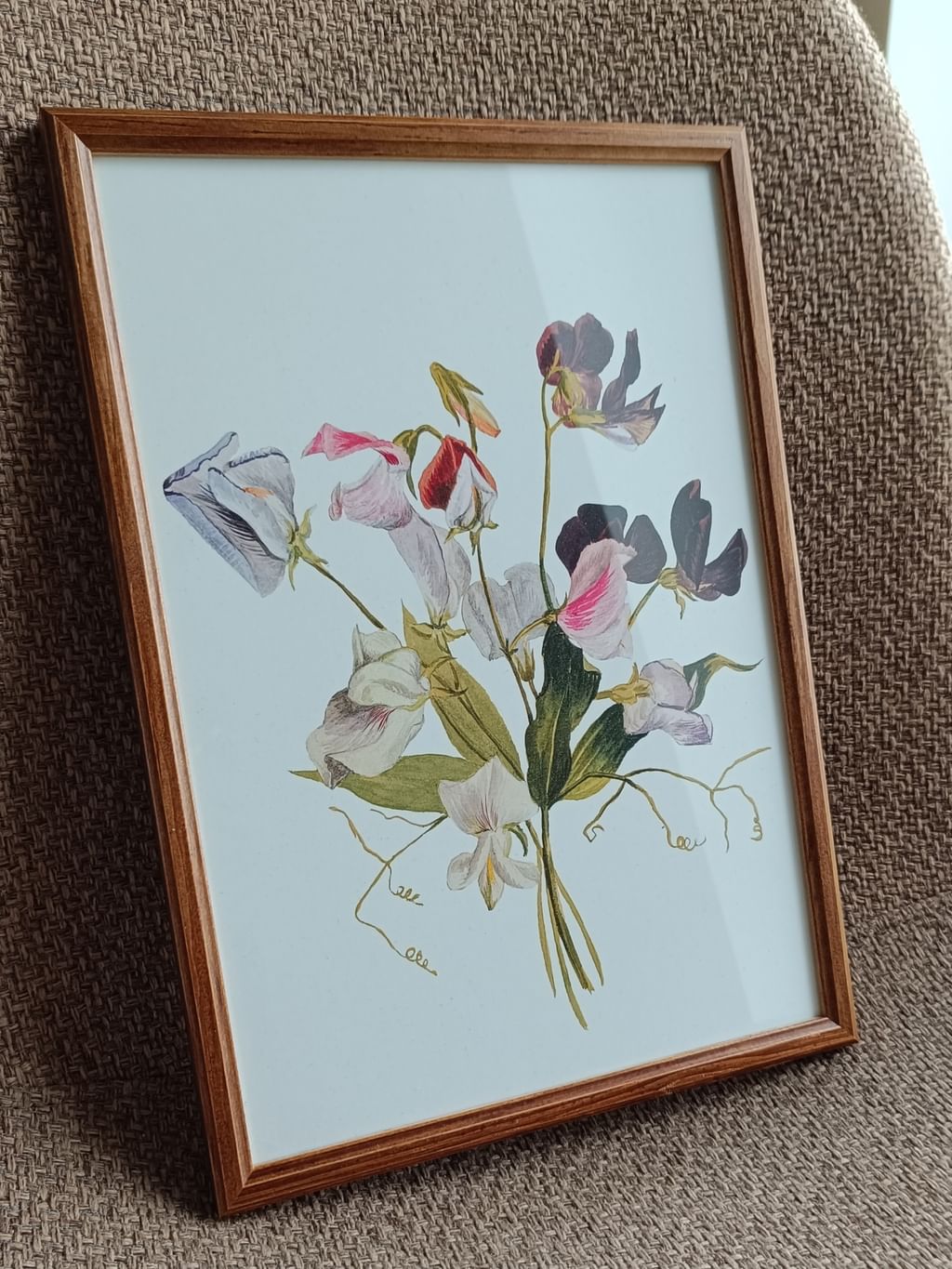 Obrazek Groszki w ramce