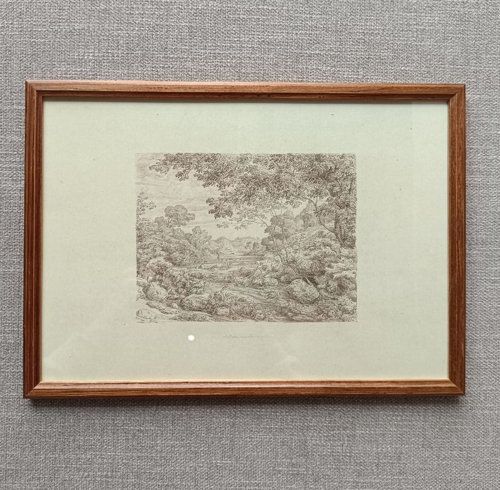 Plakat Szkic drzew w ramce