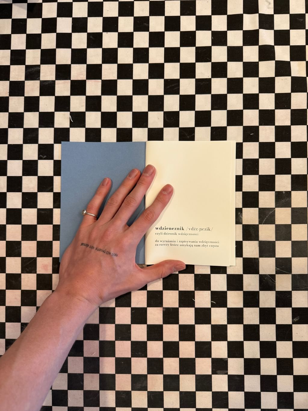 WDZIENCZNIK błękitny