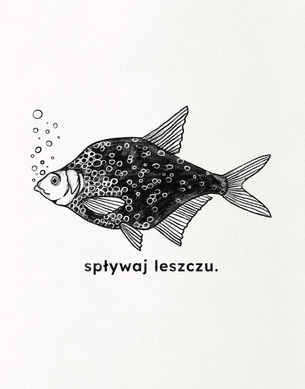 SPŁYWAJ LESZCZU. pocztówka