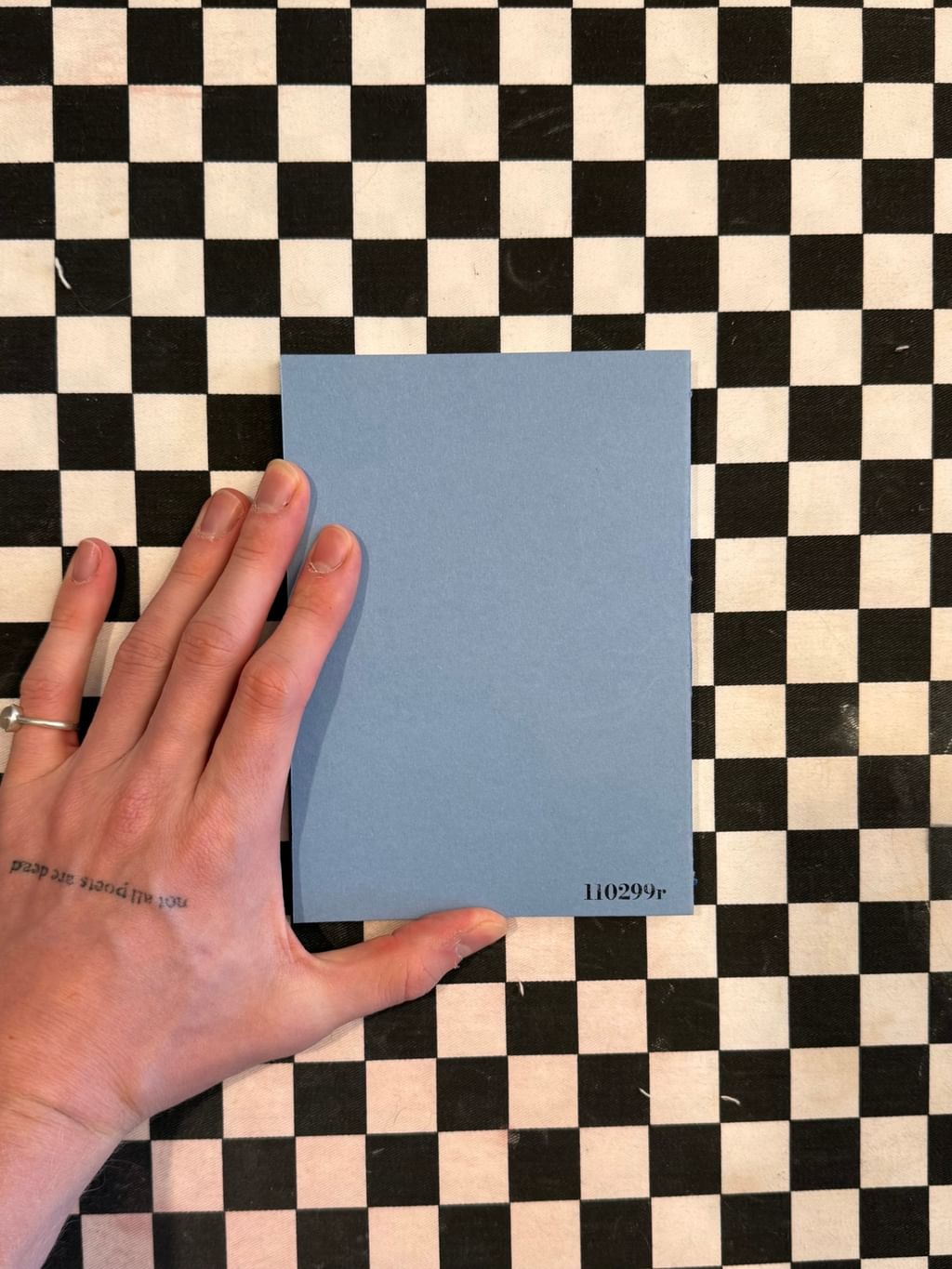 WDZIENCZNIK błękitny