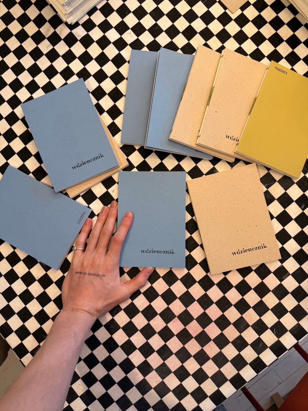 WDZIENCZNIK błękitny