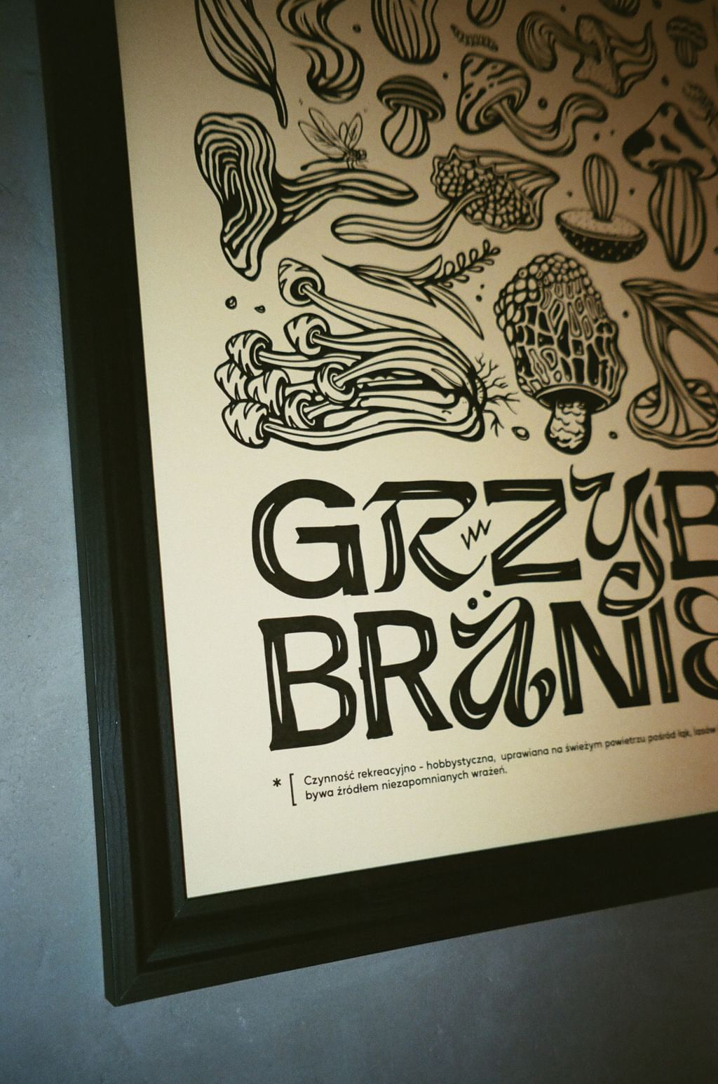 Poster Grzybobranie