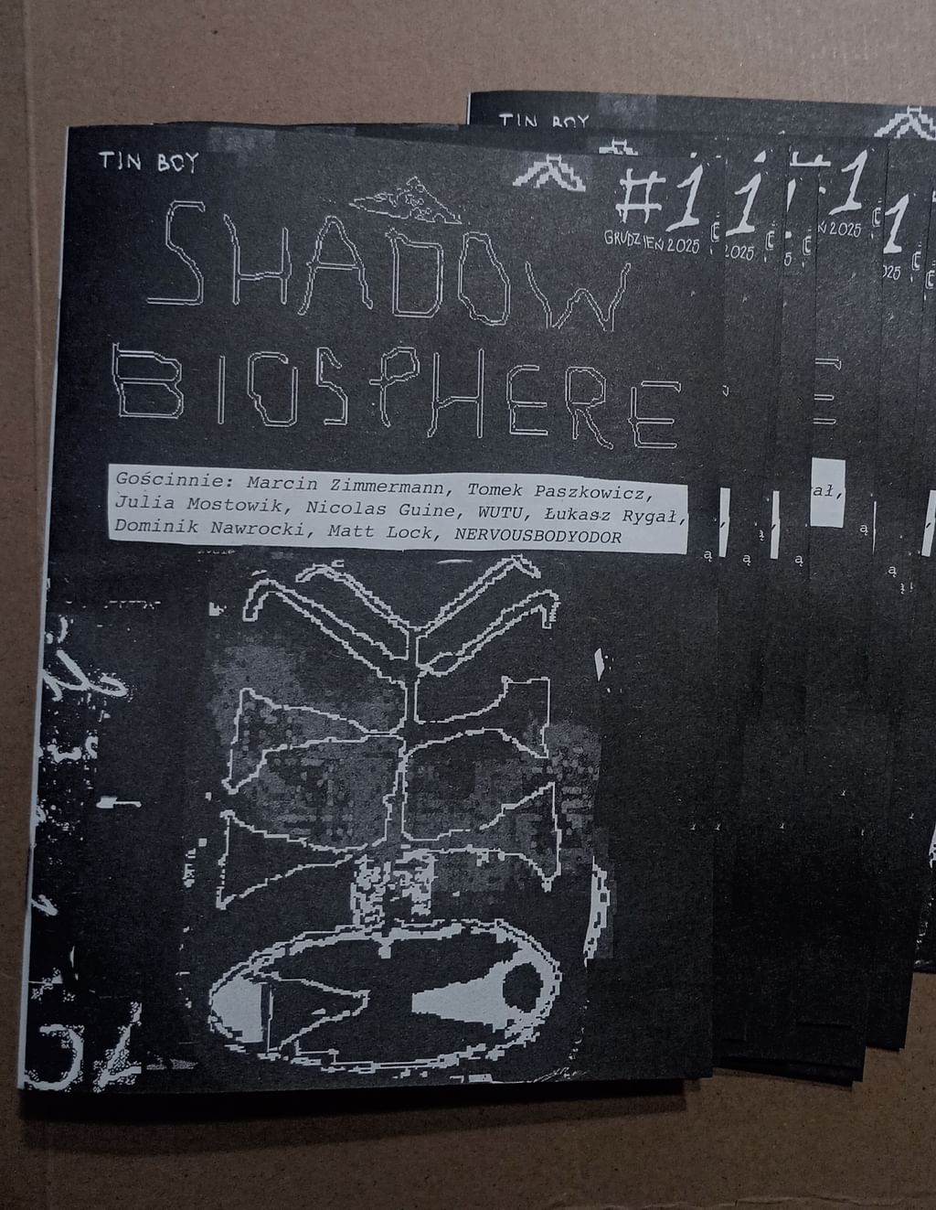 artzin "shadow biosphere"